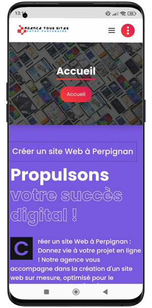 Accueil 1 Créer un site Web à Perpignan